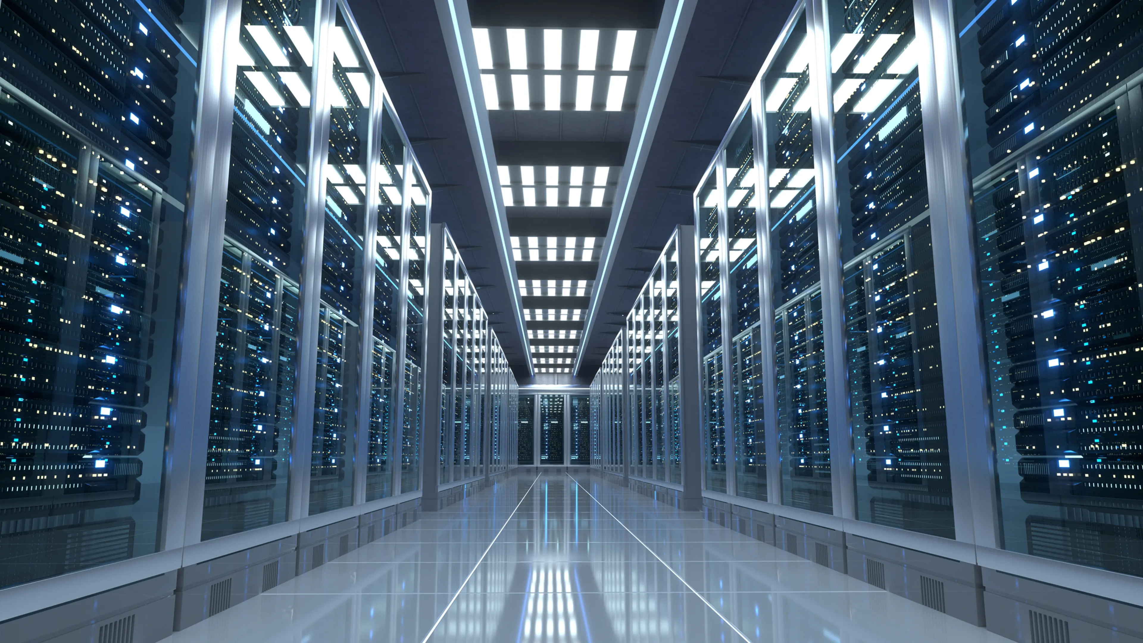 Web Hosting